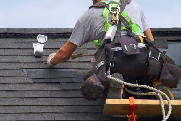 Best Roof Gutter Cleaning  in Walker, MI