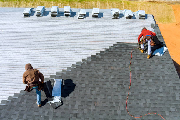 Best Roof Repair Services  in Walker, MI