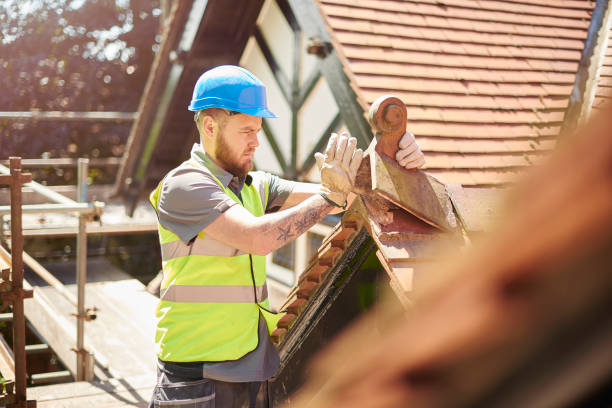 Best Metal Roofing Contractor  in Walker, MI